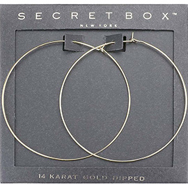 Secret Box _ 14K Gold Dipped Metal Hoop Earrings