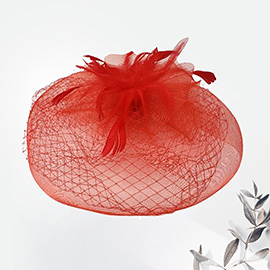 Feather Mesh Fascinator / Headband