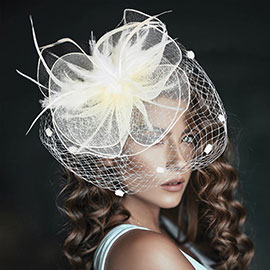 Feather Mesh Flower Fascinator / Headband