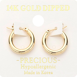 14K Gold Dipped Hypoallergenic Metal Hoop Pin Catch Earrings