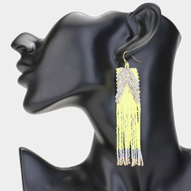 Beads Fringe Statement Earrings