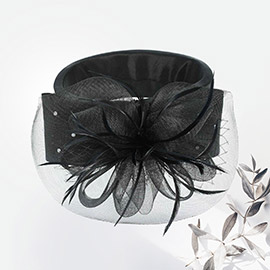 Flower Bow Feather Mesh Pointed Fascinator / Hat