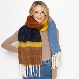 Multi Stripe Cozy Scarf with Fringe