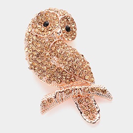 Stone Embellished Owl Pin Brooch