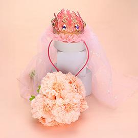 Birthday Crown Veil Headband