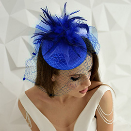 Feather Mesh Fascinator / Headband