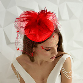 Feather Mesh Fascinator / Headband