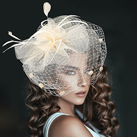 Flower Feather Mesh Bow Fascinator / Headband