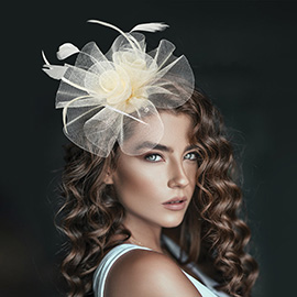 Mesh Flower Feather Mesh Fascinator / Headband