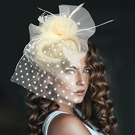 Dotted Mesh Flower Feather Mesh Fascinator / Headband